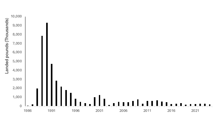 oregon red sea urchin landings