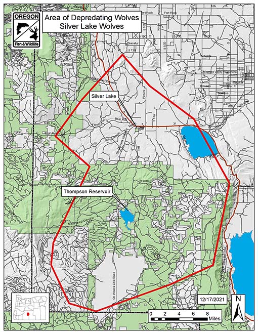 Silver Lake Wolves ADW