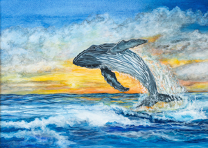 Gray Whale