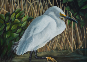 Snowy Egret
