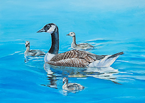 HC-311 Dusky Canada Goose