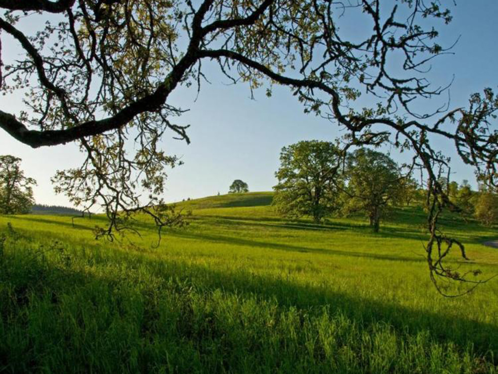 Creation of the Fund