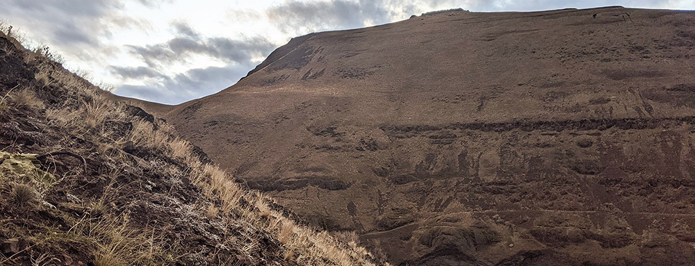 Carbon Capture and Restoration in North-Central Oregon Rangelands