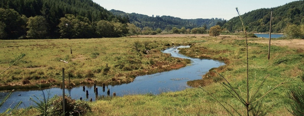 Smith River Estuary Restoration