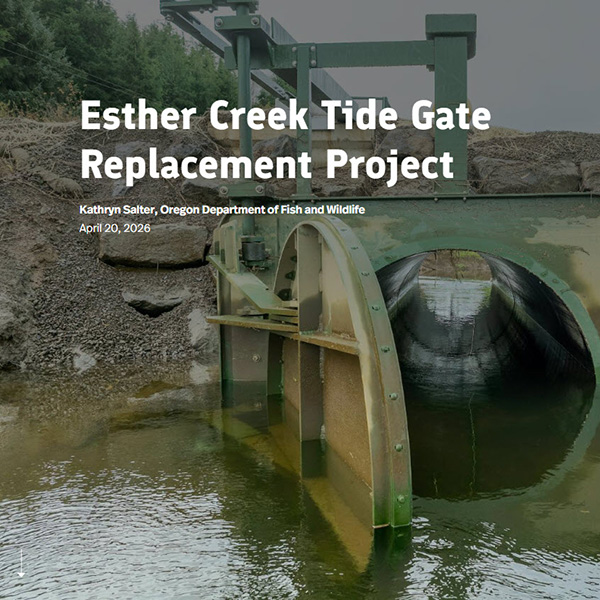 Esther Creek Tide Gate Replacement Project Storymap