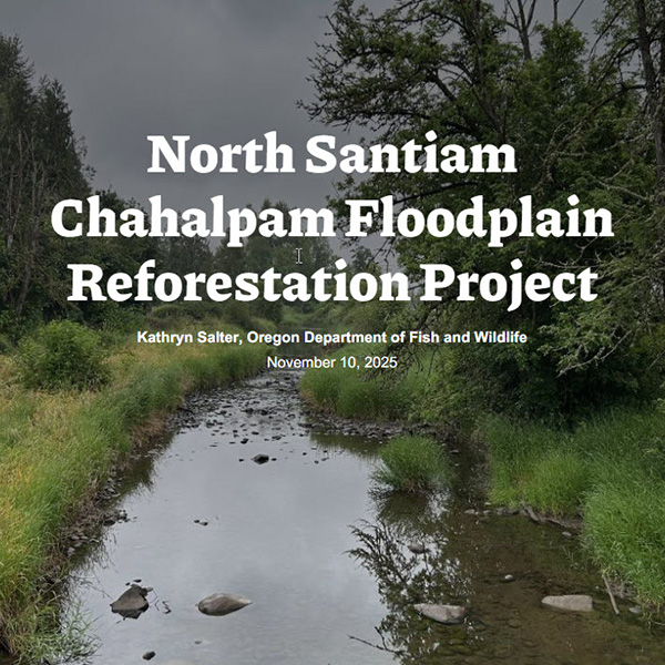 North Santiam Chahalpam Floodplain Reforestation Project Storymap