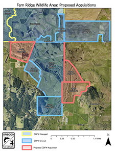 South Coyote IV V VI