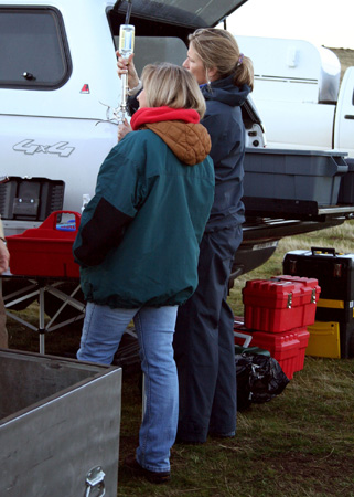 8891_vet_prep_munsel