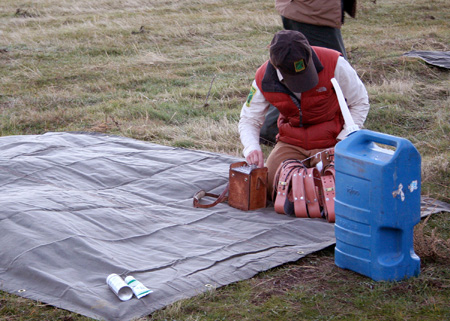 8894_collar_check_munsel