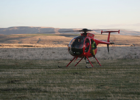 8905_copter_sunrise_munsel