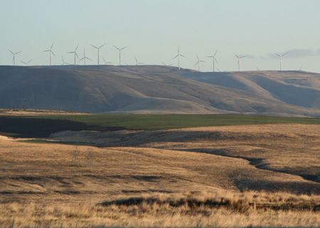 8911_windmills_munsel