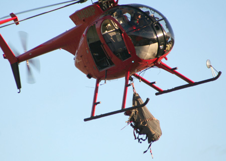 8918_first_sheep_munsel