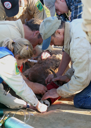 8924_eye_check_munsel