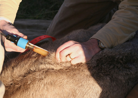 8929_vacination_munsel