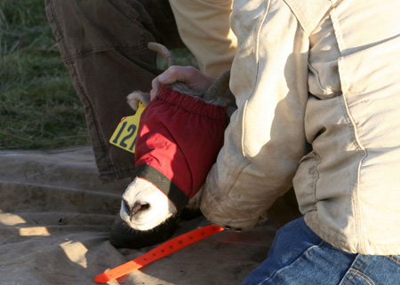 8932_one_twenty_one_munsel