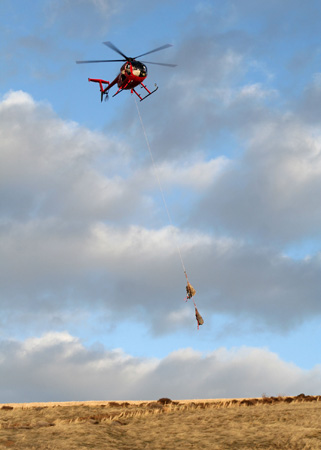 8935_coming_down_munsel