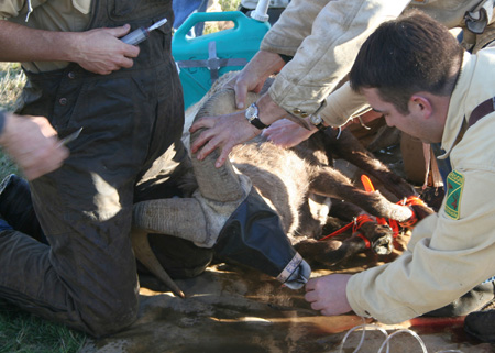 8982_medical_treatment_munsel