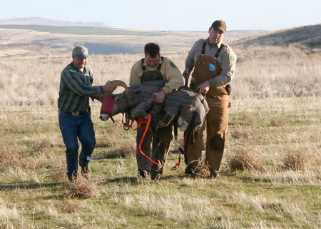 9009_bringing_him_in_munsel