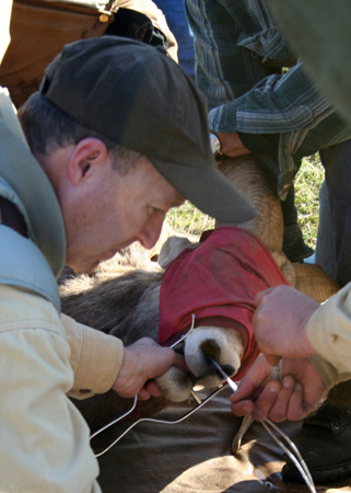 9019_blindfold_munsel