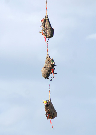 9033_three_rams_munsel