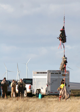 9035_unhooking_munsel