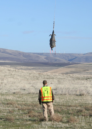 9052_incoming_munsel