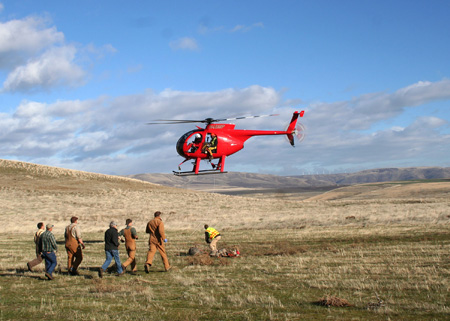 9071_unhooking_munsel