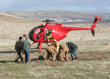 9072_unhooking_munsel