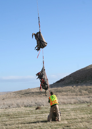 9086_unhooking_munsel