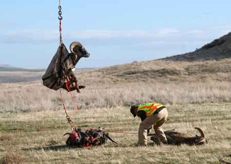 9088_two_down_munsel