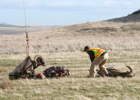 9090_unhooking_munsel