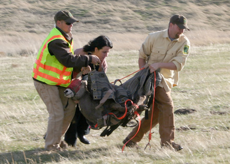 9092_bringing_him_in_munsel