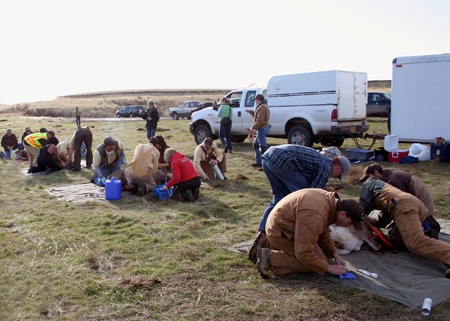 9096_busy_crew_munsel