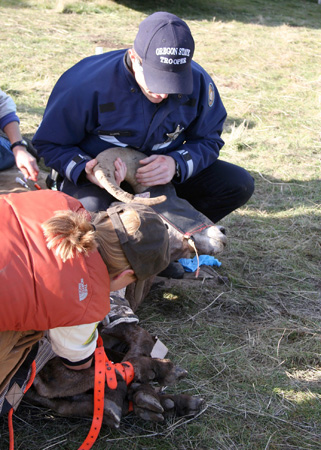 9097_ram_exam_munsel