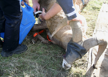 9102_cool_down_munsel