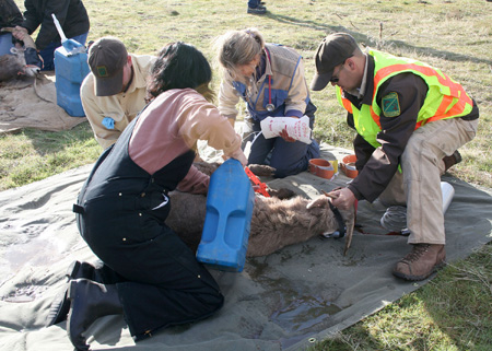 9108_cool_down_munsel