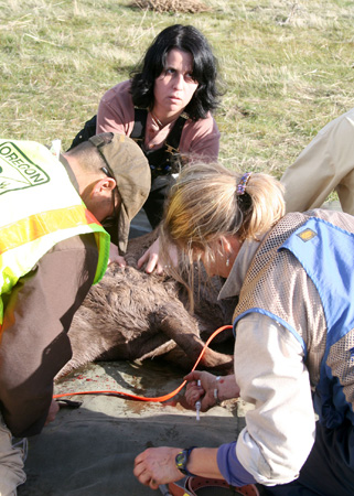 9111_immunization_munsel