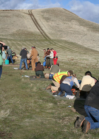 9112_all_teams_munsel