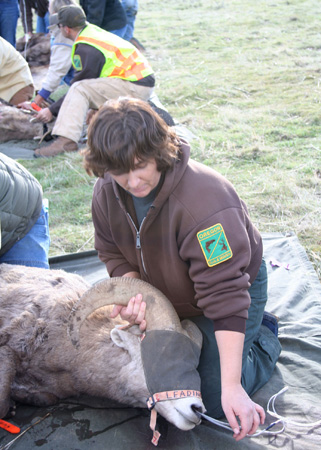 9116_adjusting_oxygen_munsel