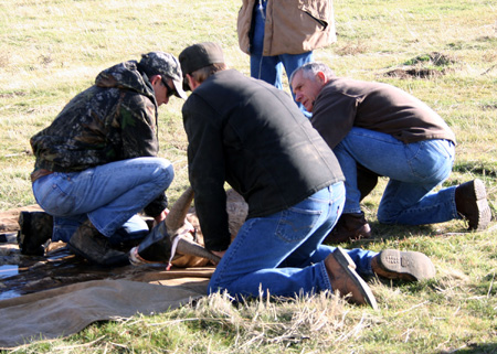 9124_communication_munsel