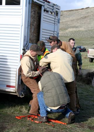 9132_into_the_truck_munsel