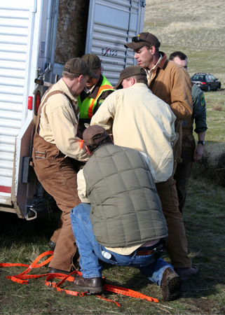 9133_into_the_truck_munsel