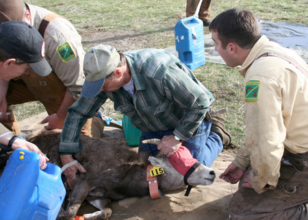 9139_cooling_off_munsel