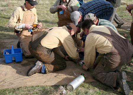 9143_another_team_munsel