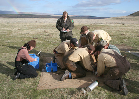 9144_under_the_rainbow_munsel