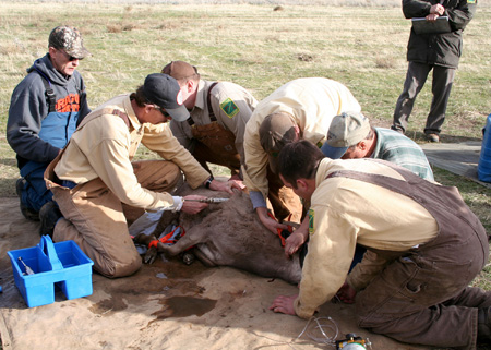 9145_injection_munsel