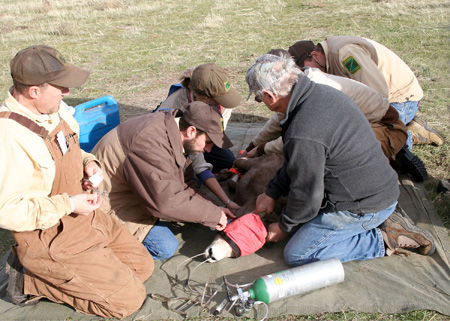 9148_teamwork_munsel