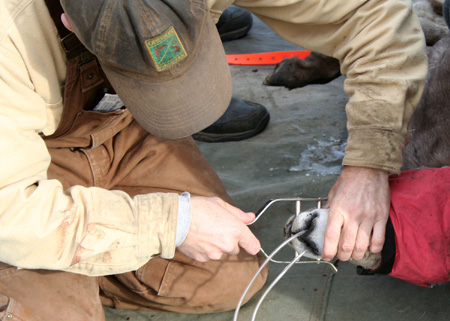 9149_mouth_piece_munsel