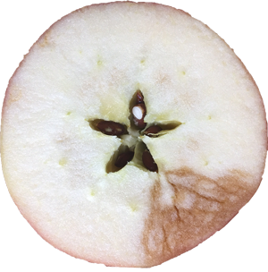 apple