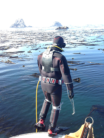 diver at Orford reef